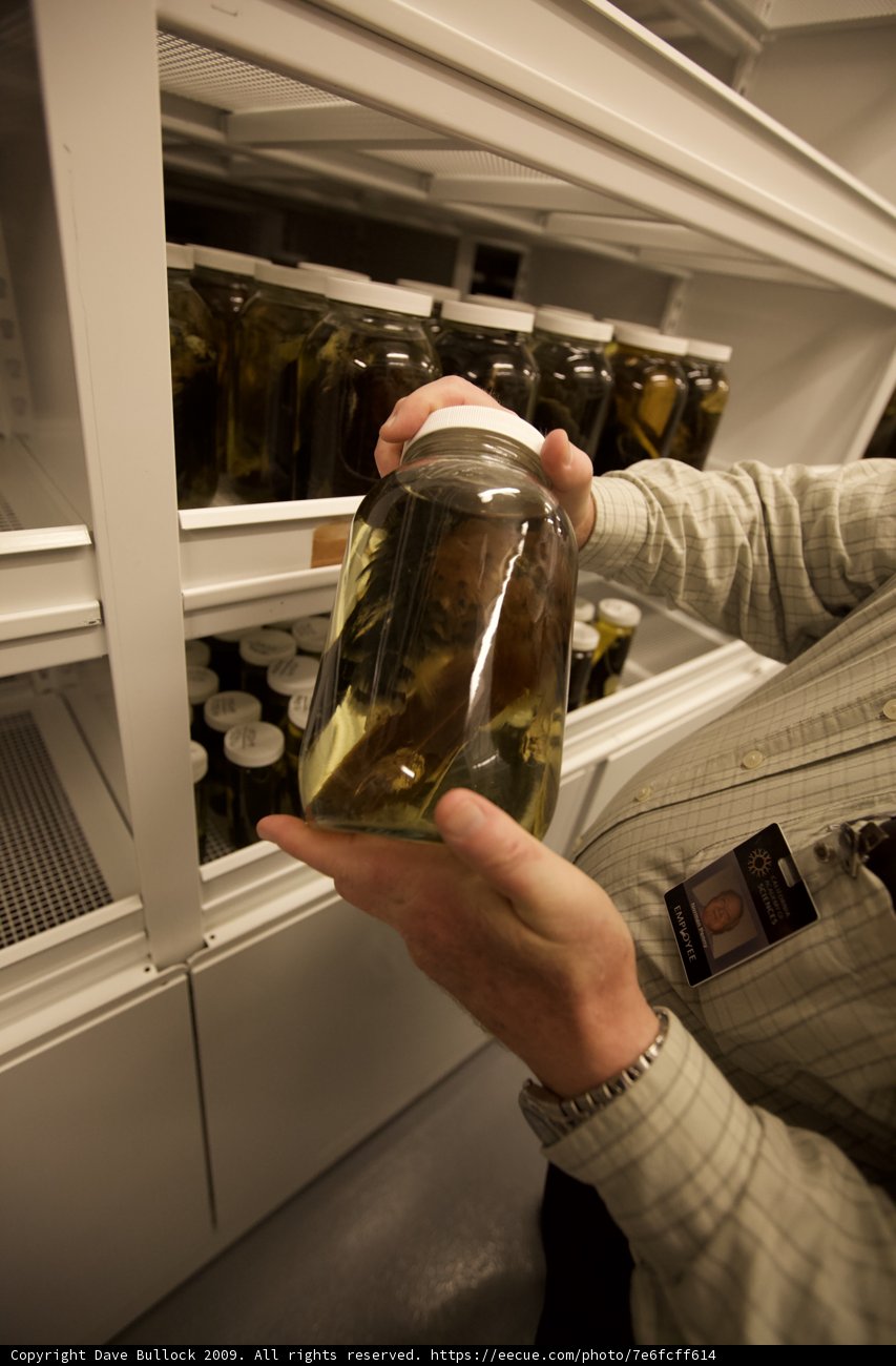Liquid in the Cabinet