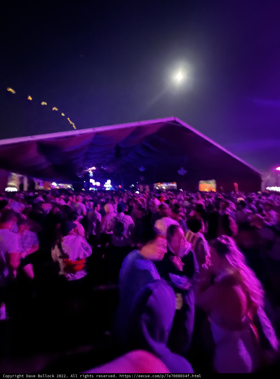 Moonlit Concert Madness