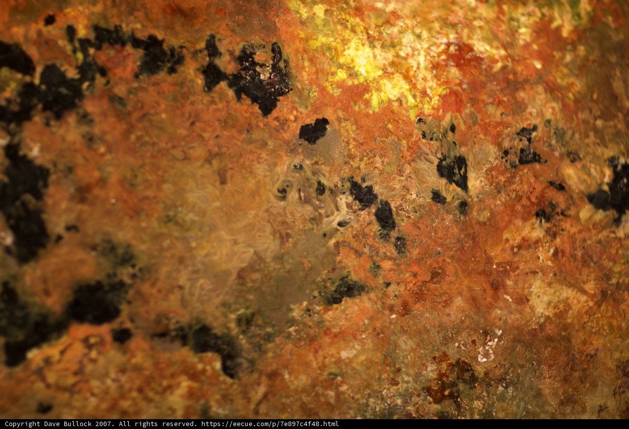 Rusty Coral Reef