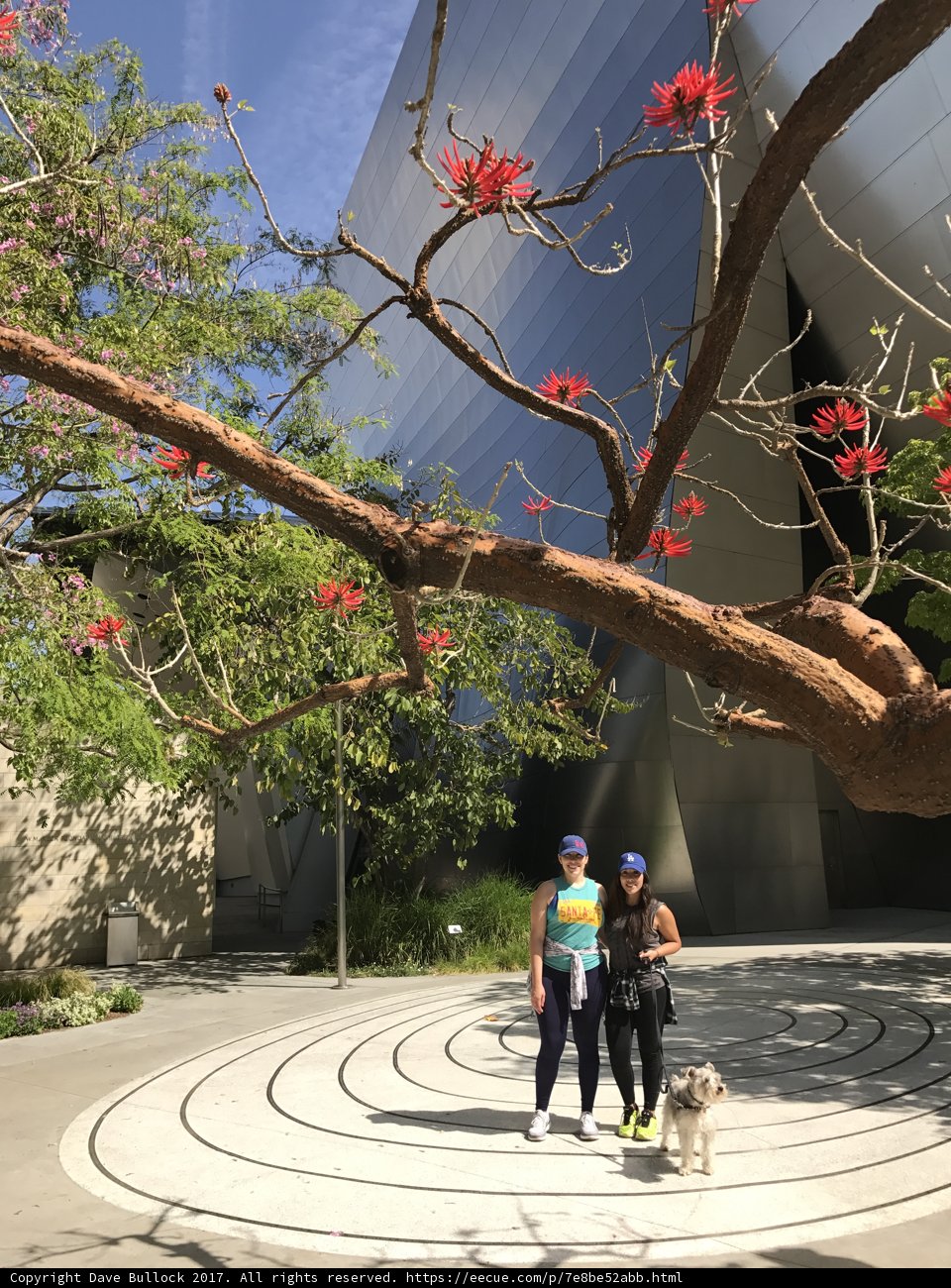 Serenity at Walt Disney Concert Hall