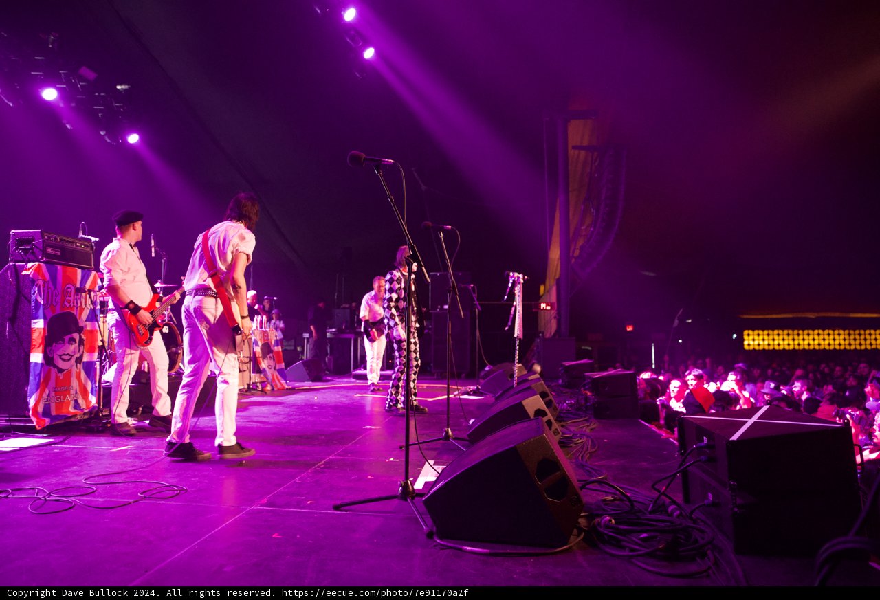 Electric Vibes: A Night at Coachella 2024