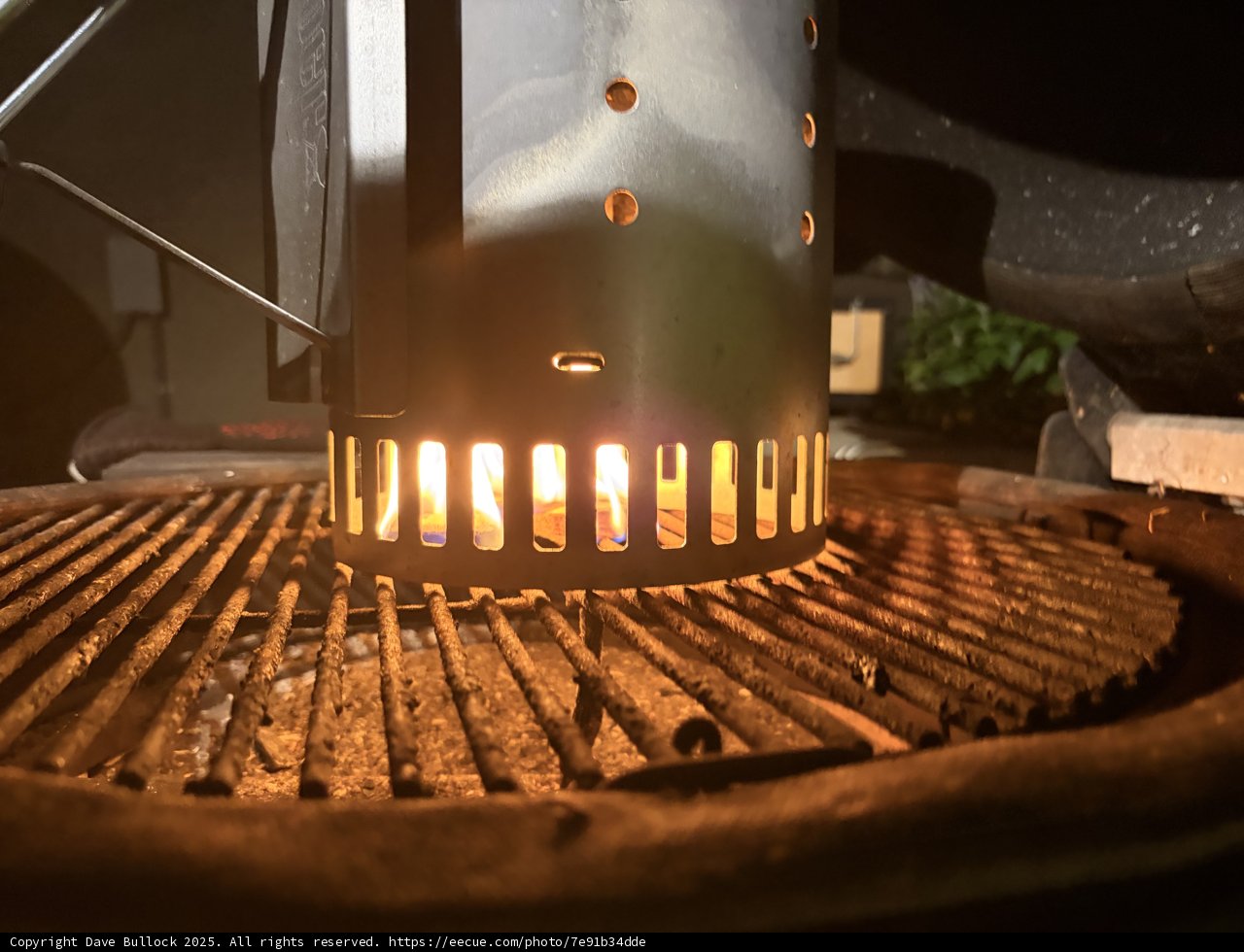 Igniting Delight: The Start of a BBQ Adventure