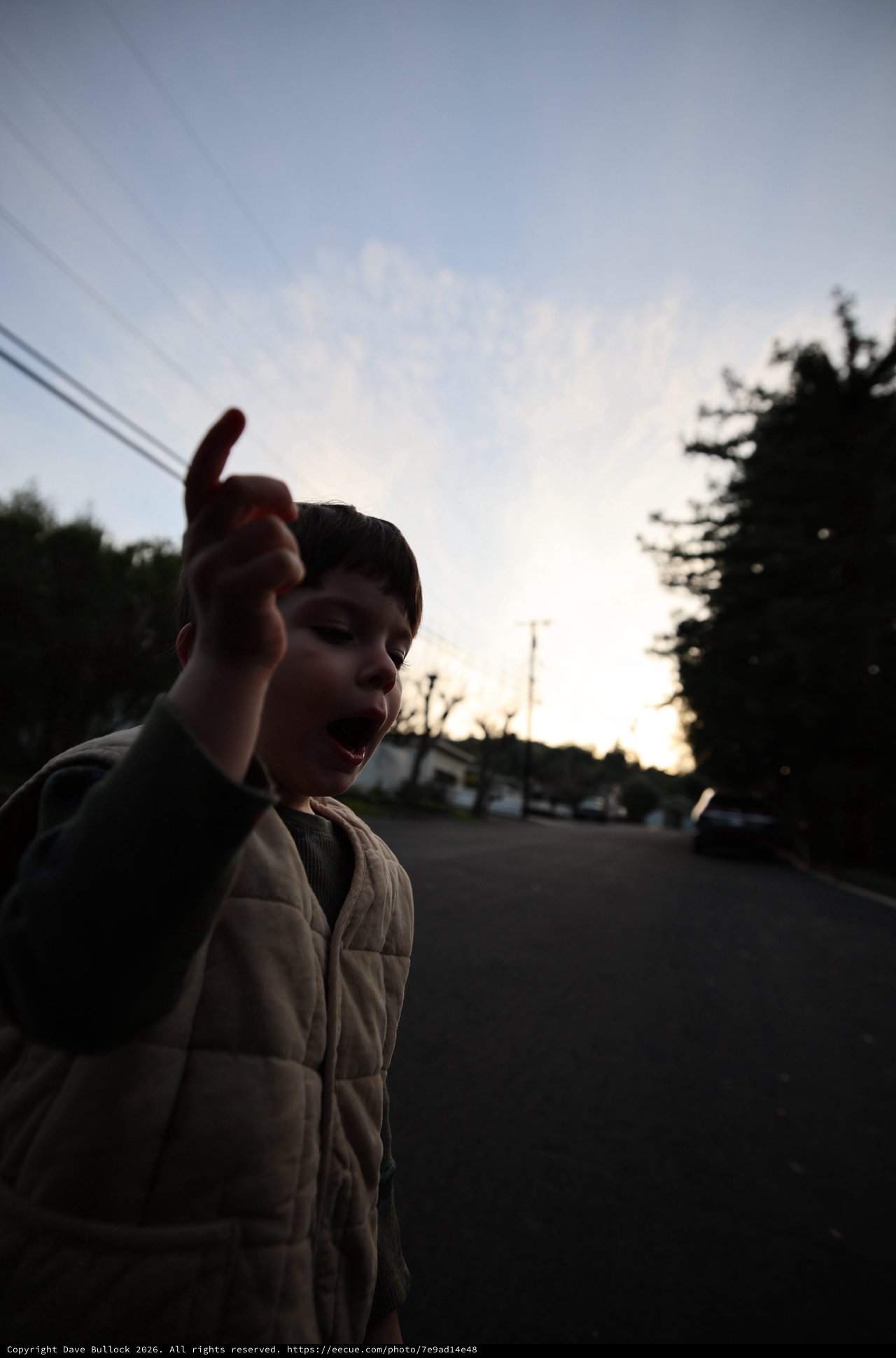 Young Boy Pointing at Dusk in Suburban Street