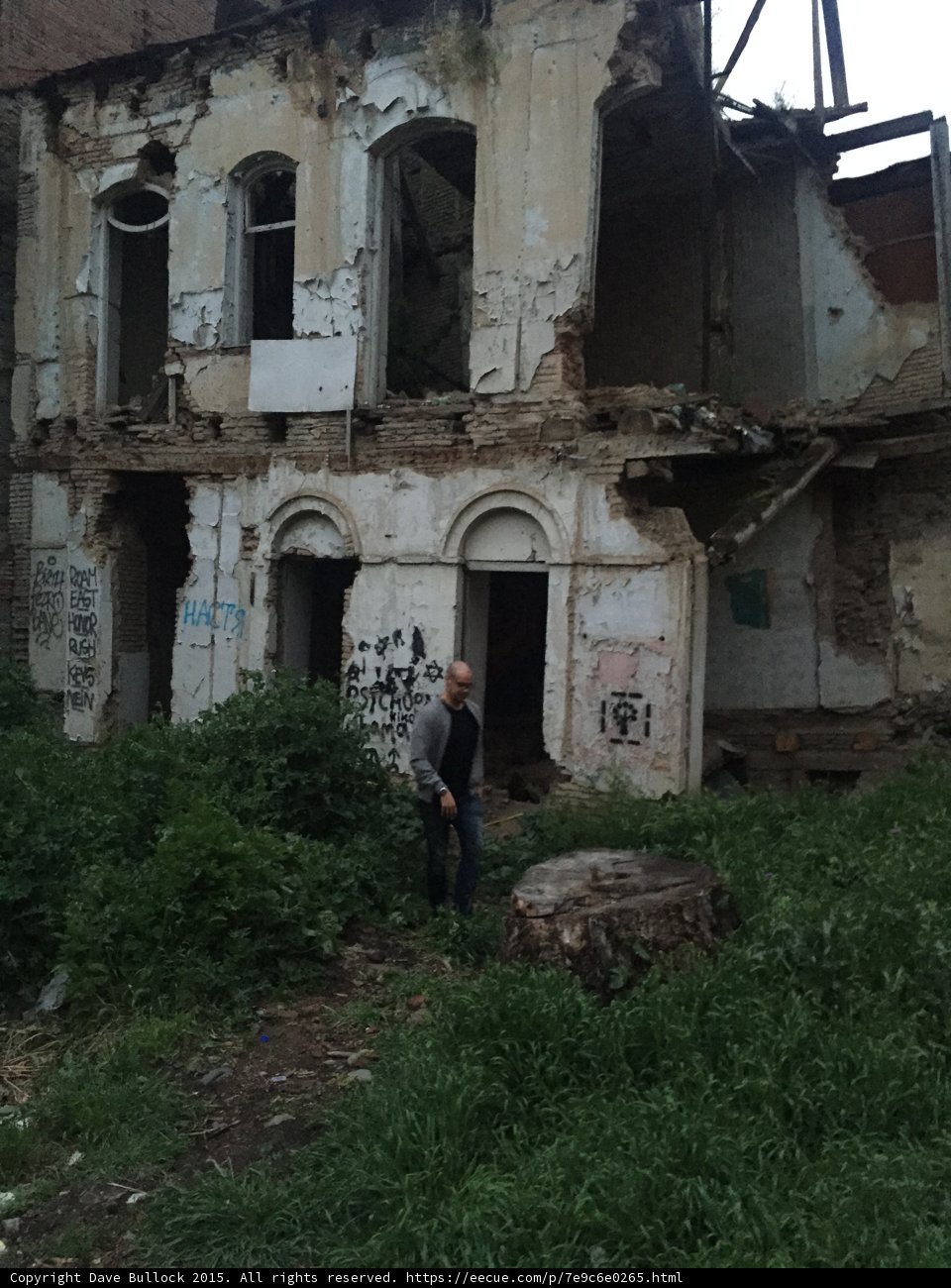 Portrait at the Ruined Mansion