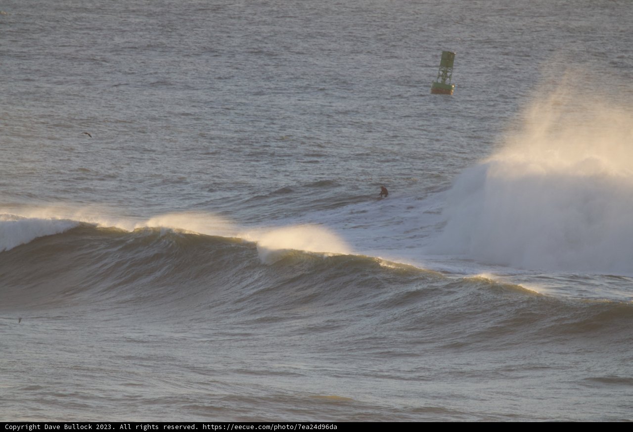 Conquering the Majestic Mavericks: A Display of Skill and Grace
