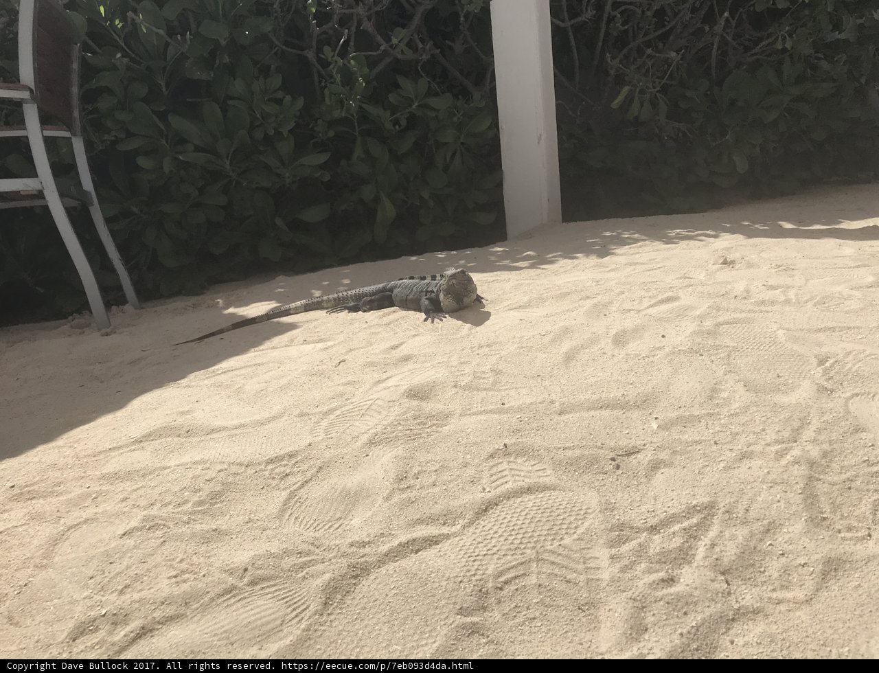 Basking in the Sun