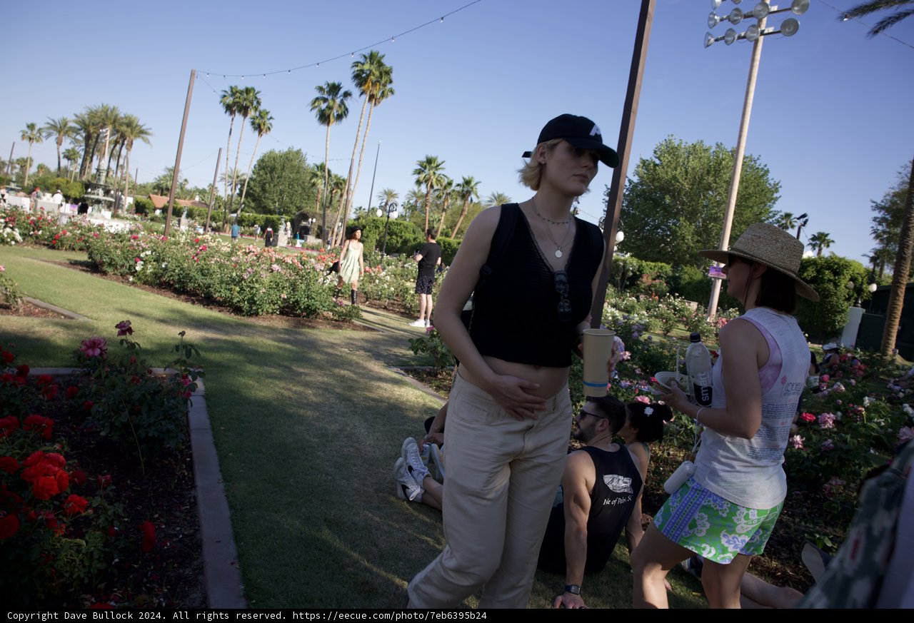Sunny Vibes at the Rose Garden - Coachella 2024