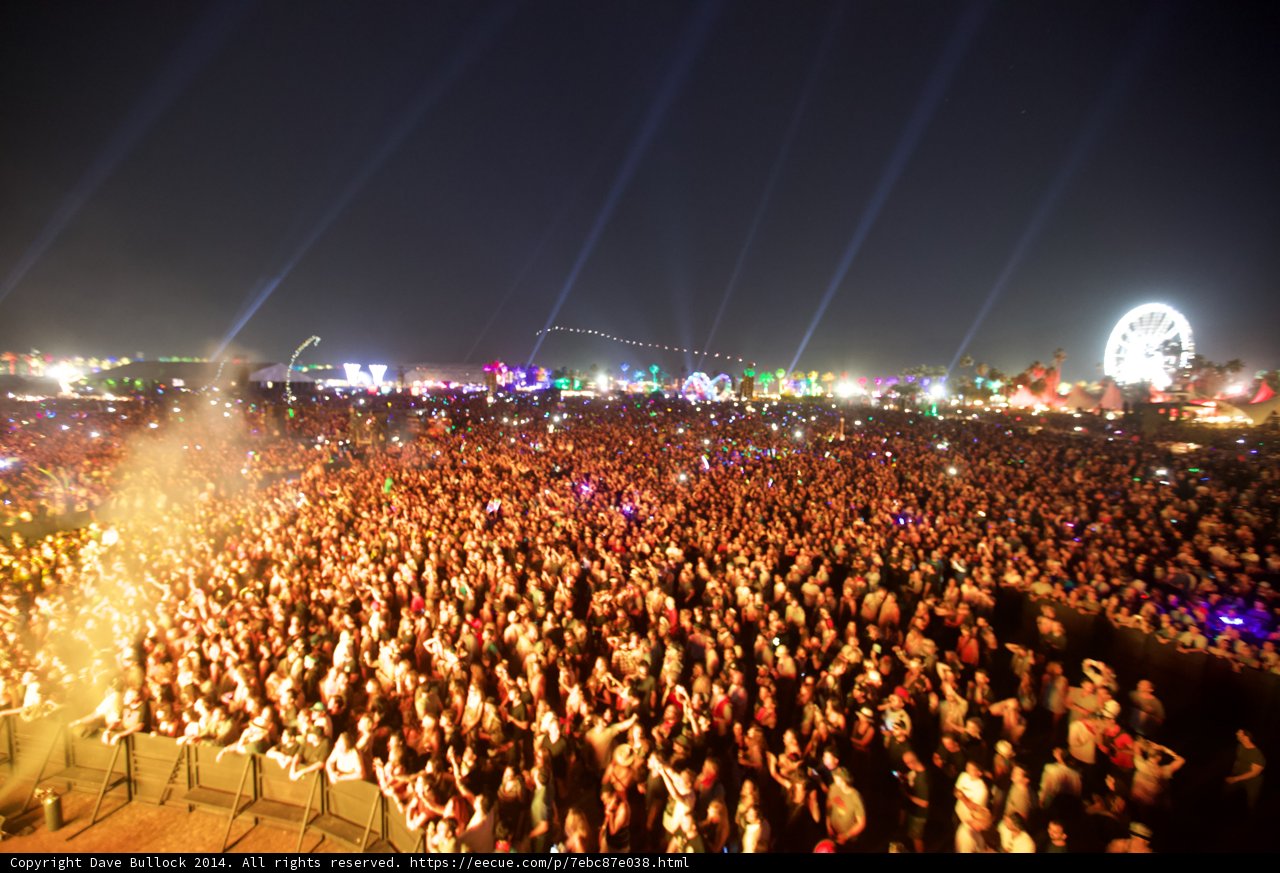Music Festival Madness