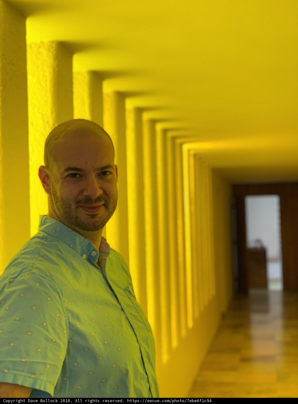 The Bald Man in the Yellow Hallway