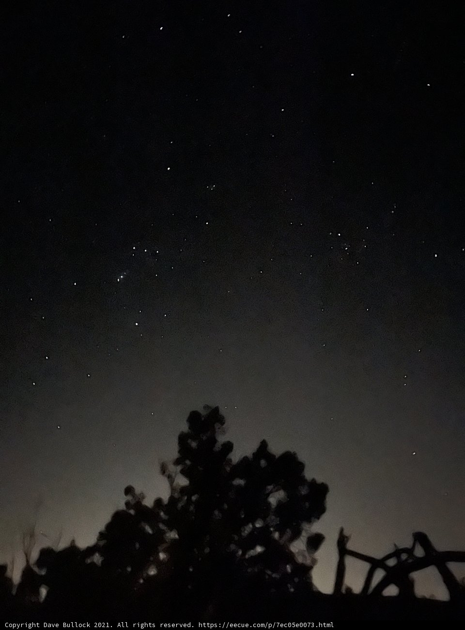 Starry Night in Sandia Park