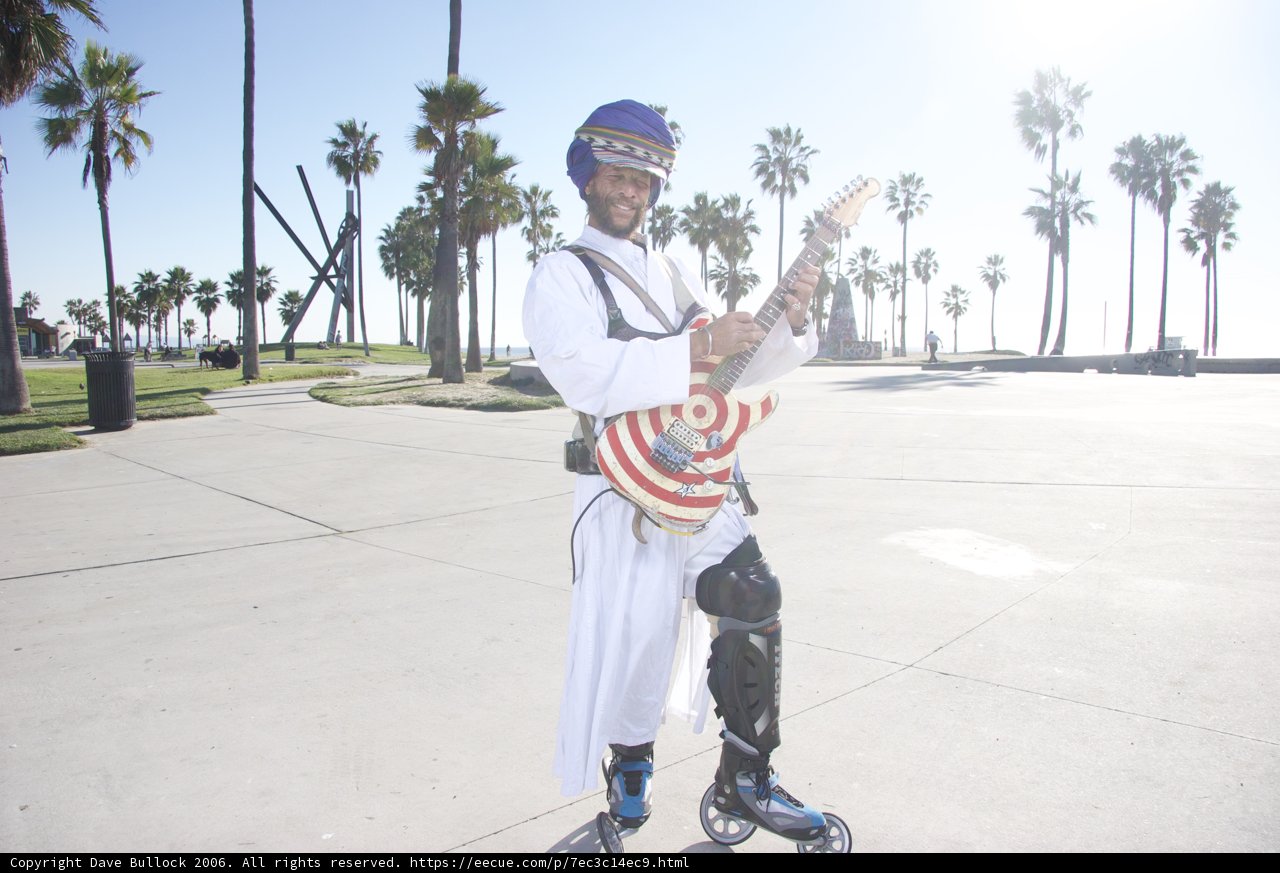 Palm Tree Performer