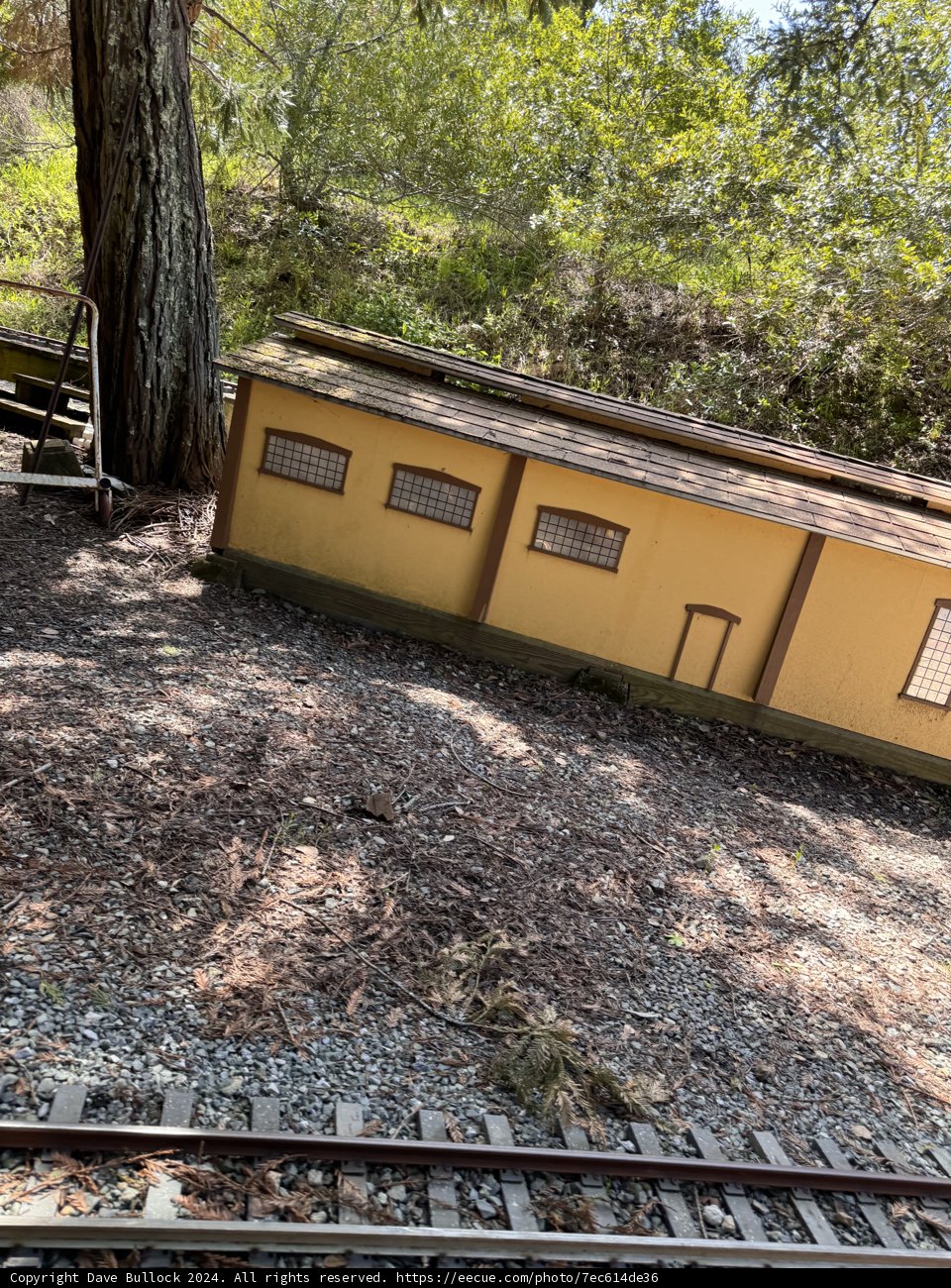 Hidden Gems of Tilden