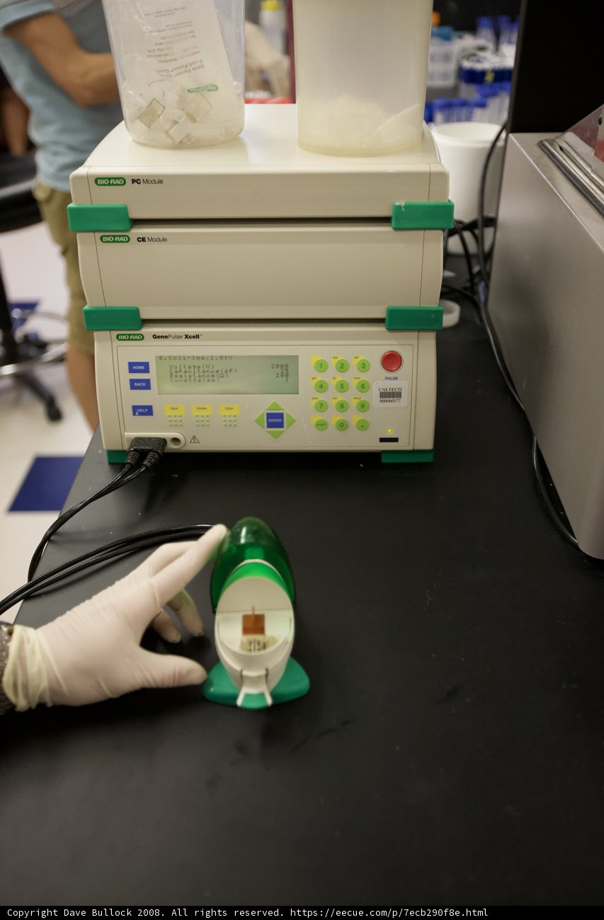 Gloved Hands in the Lab