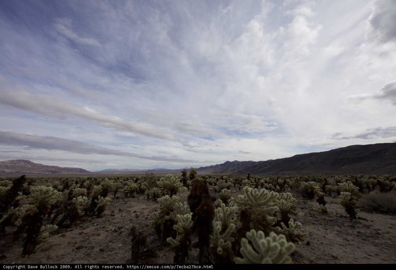 Majestic Desolation