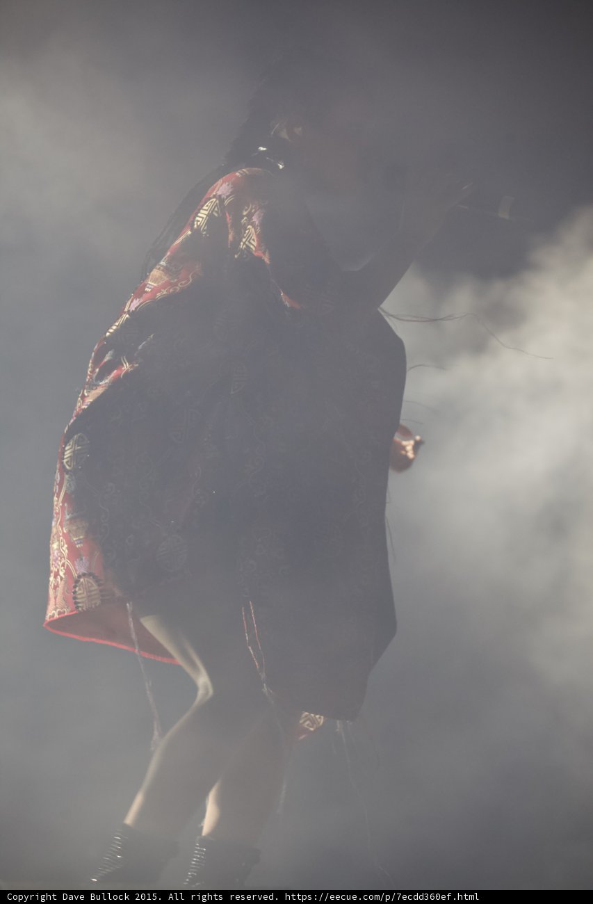 FKA twigs Dynamic Silhouette Profile Singing Red Brocade Kimono Gold Patterns Braided Ponytails Black Boots Heavy Haze