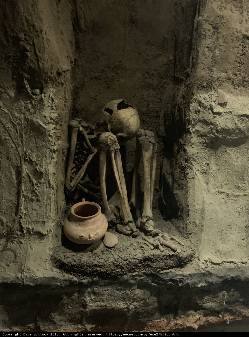 The Skeleton Chef