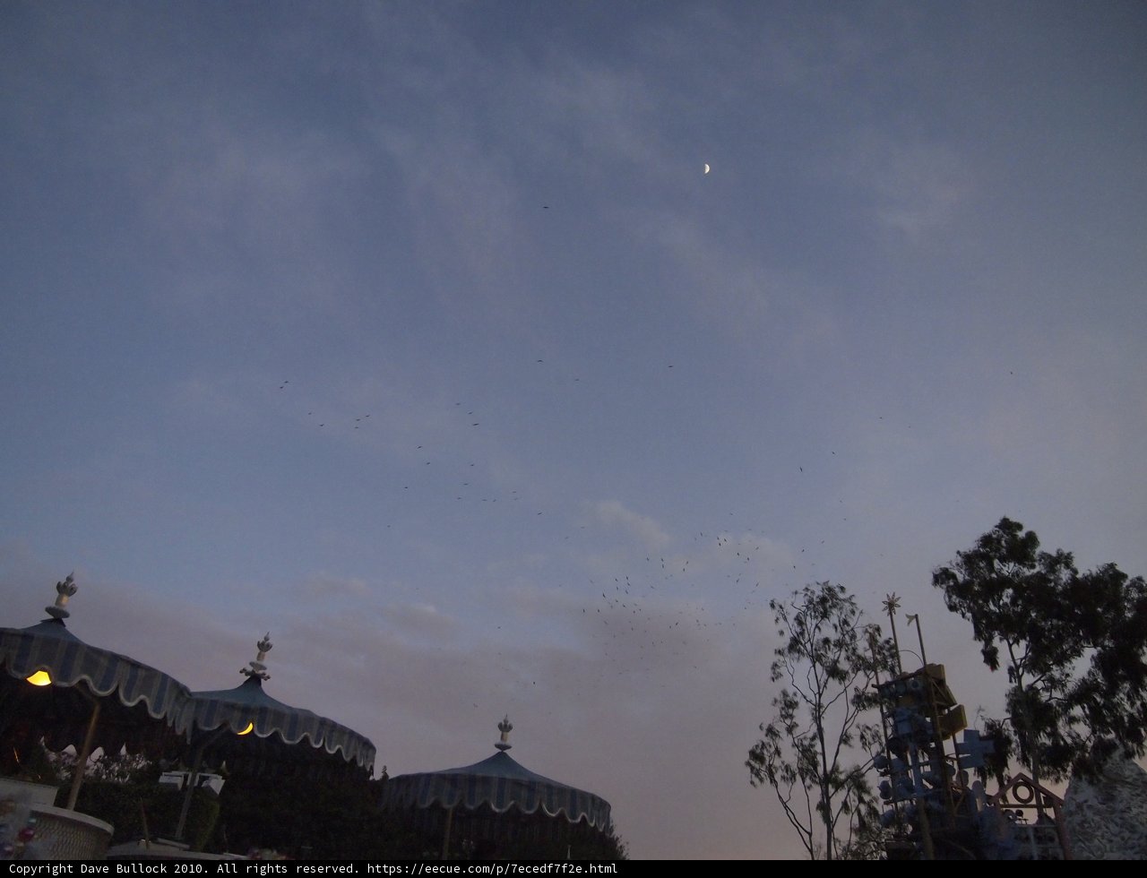 Moonlit Carousel