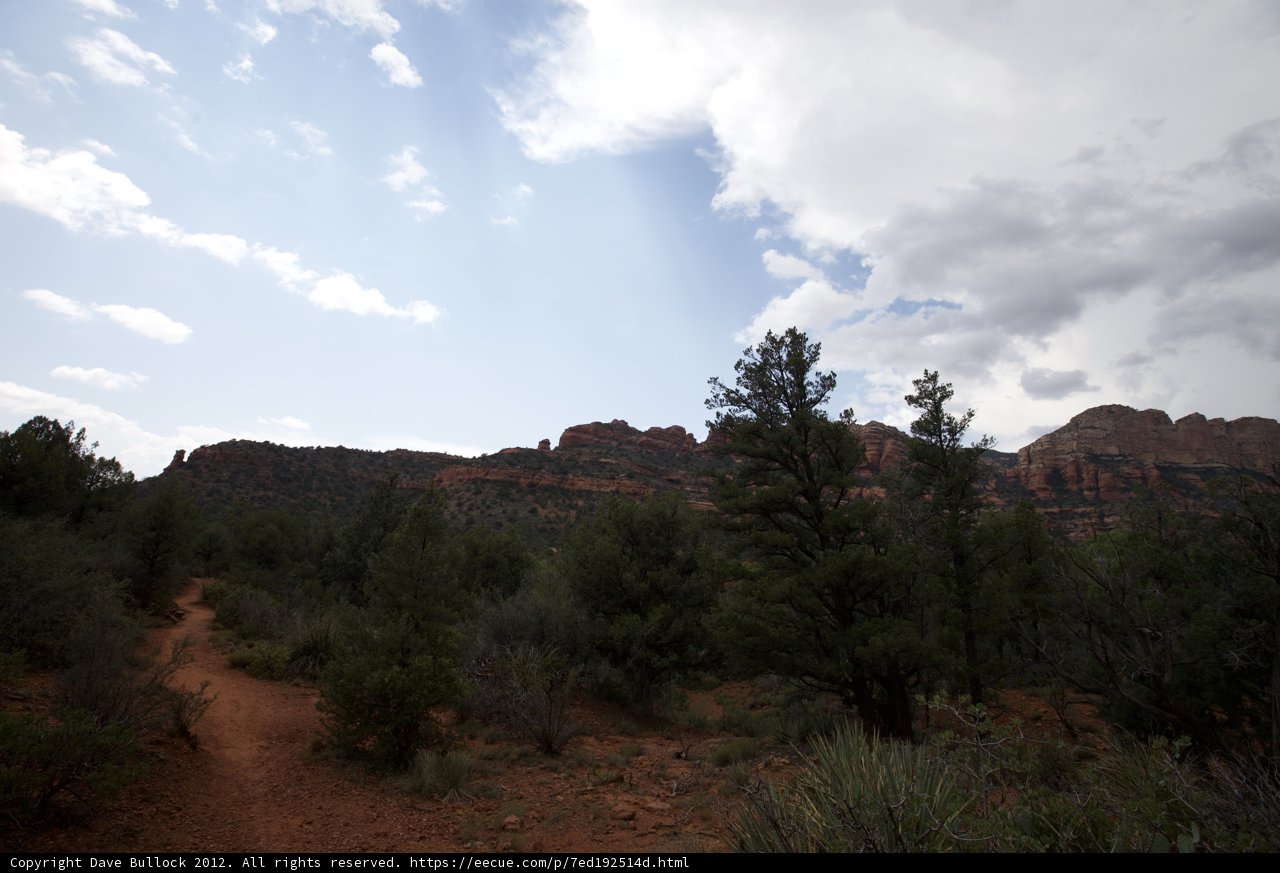 Trail in the Wilderness