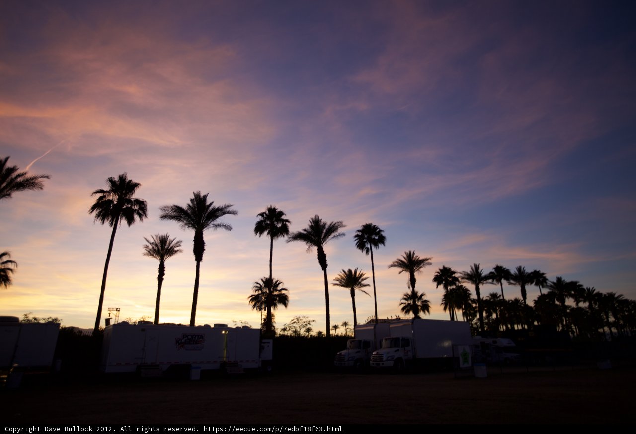 Palm Tree Sunset at Coachella Valley Music and Arts Festival