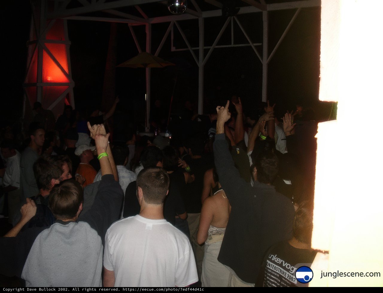 Nightclub Party in Ensenada