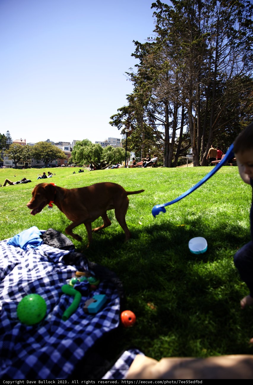 Summer Funday at Delores Park