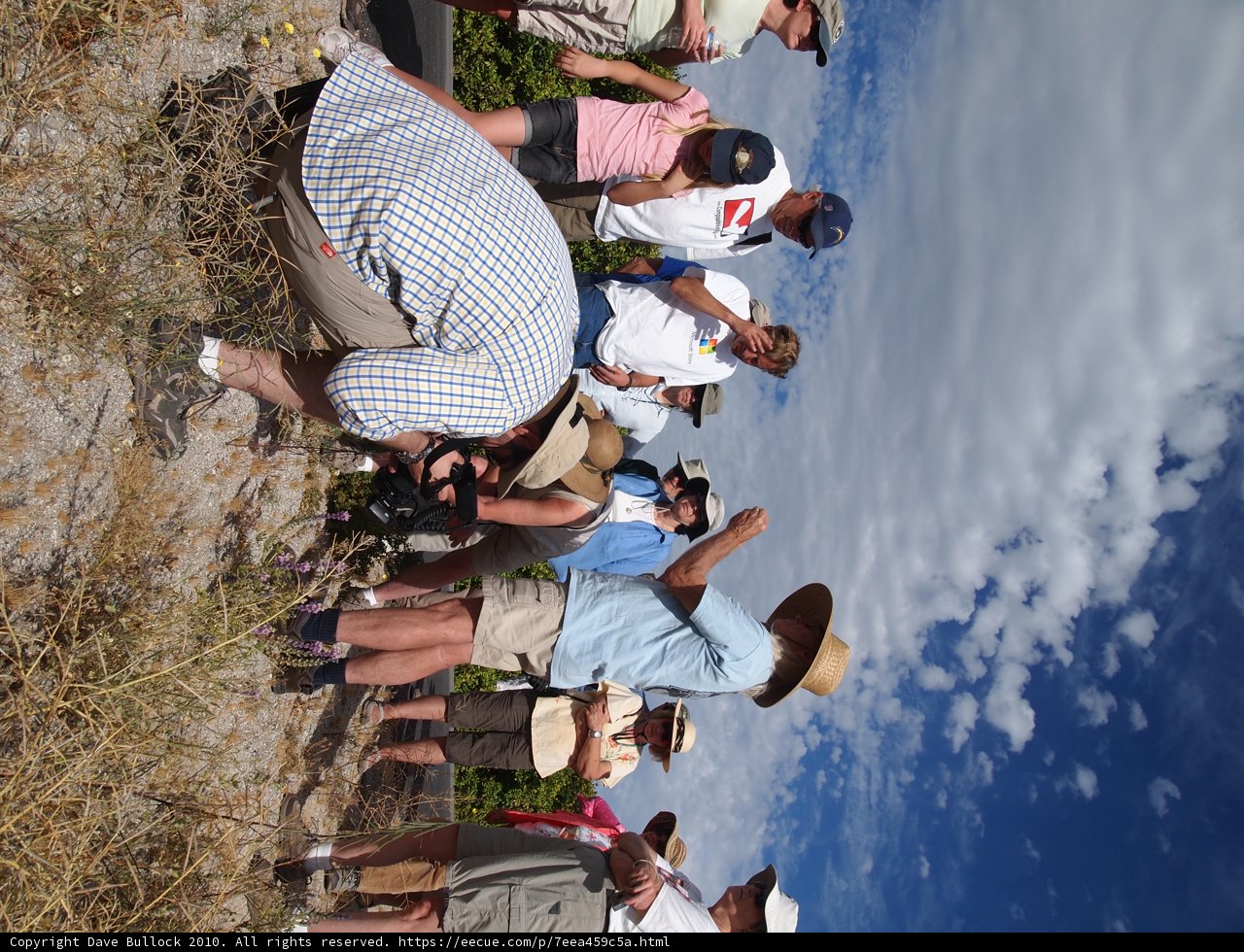 Field Gathering