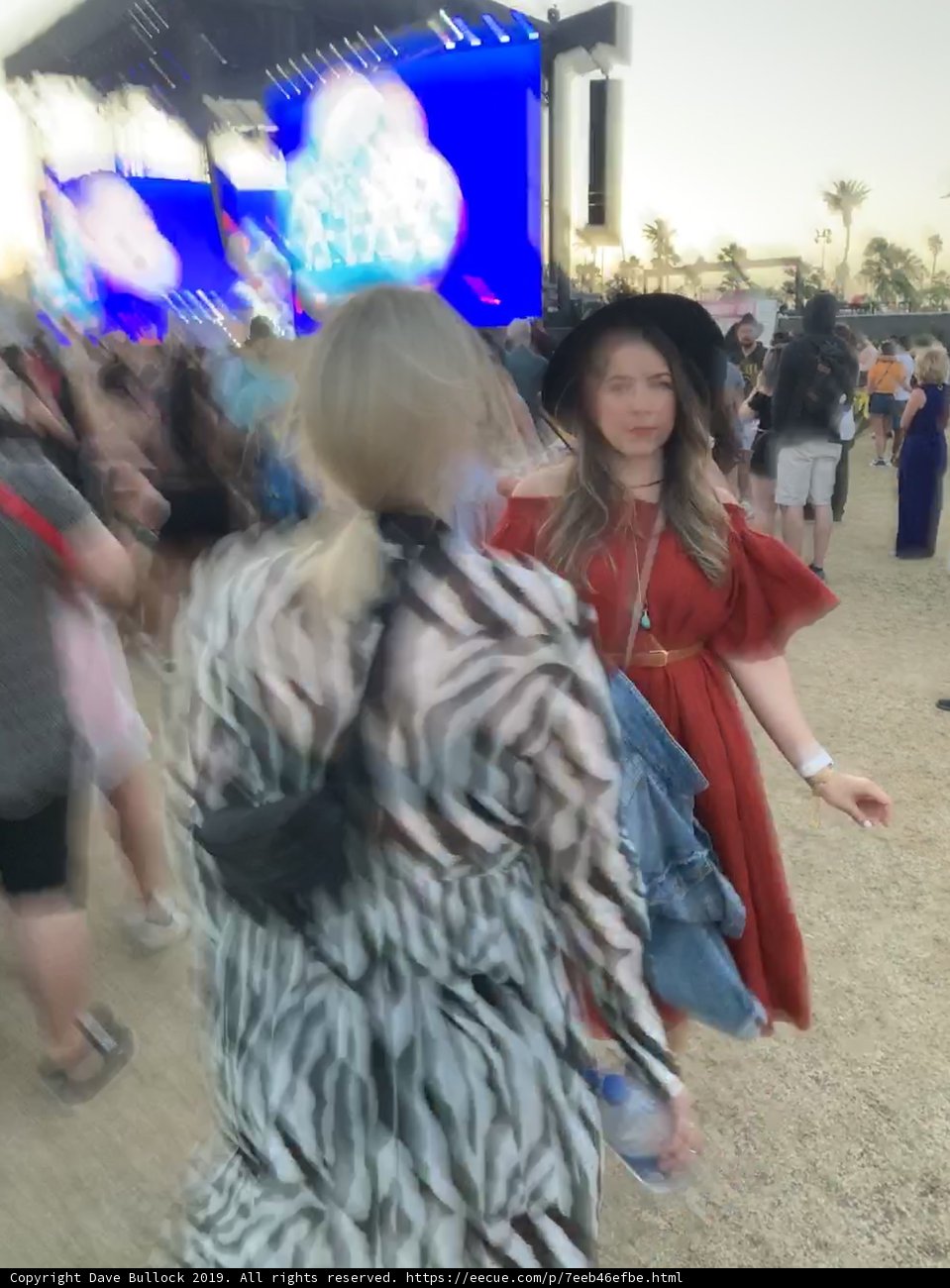Festival Fashionistas
