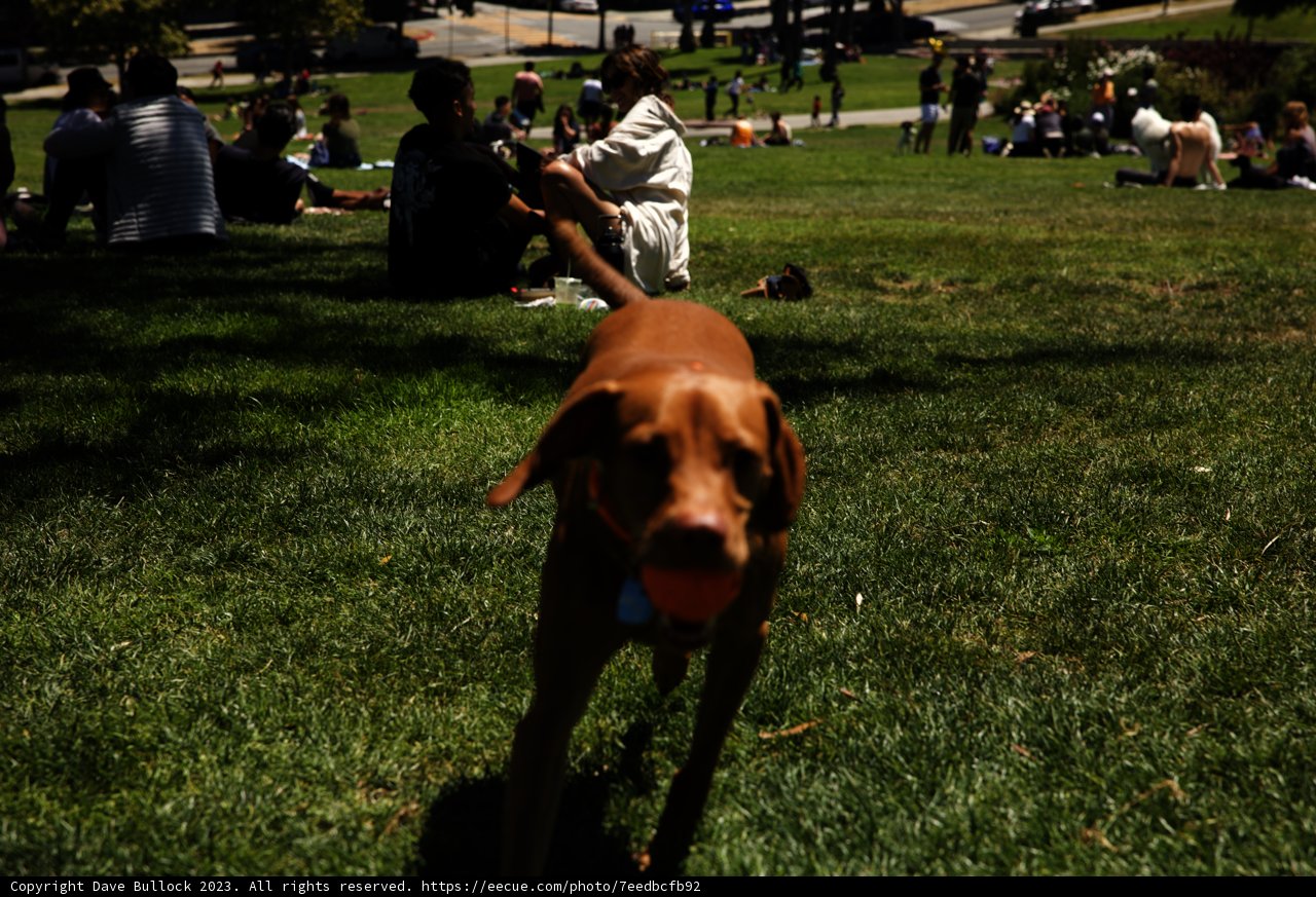 Playtime at Delores Park