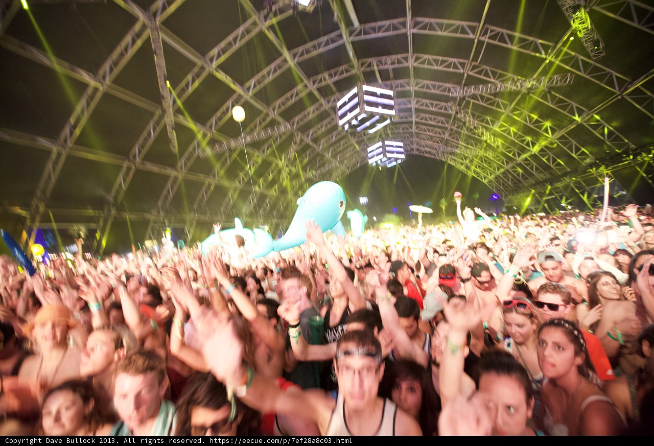 Coachella Music Festival Crowd