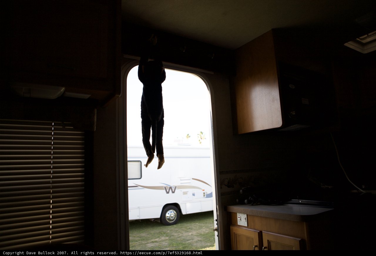 Feline RV Adventure