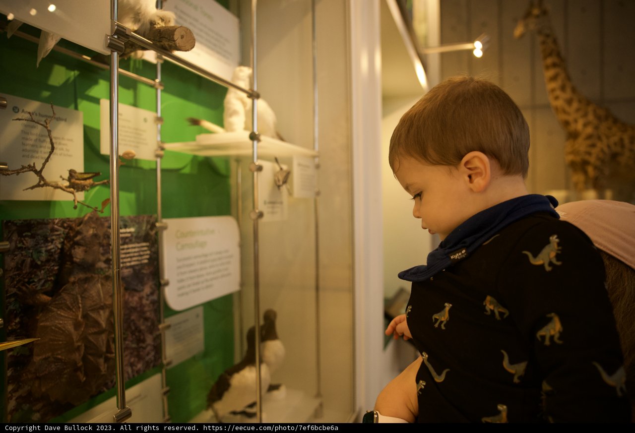 Discovery at the Academy: A Child's Amazement