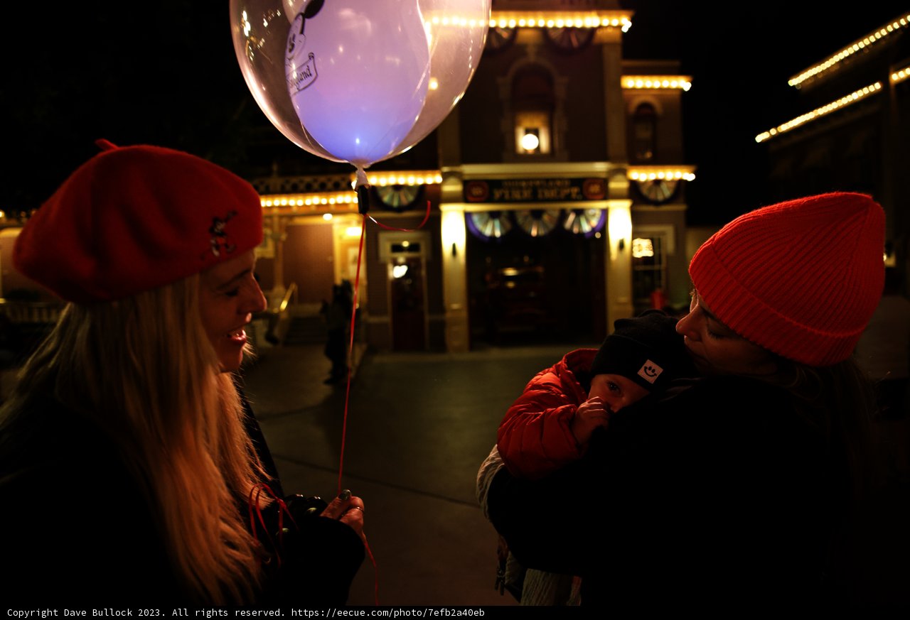 Joyful Moments at Disneyland