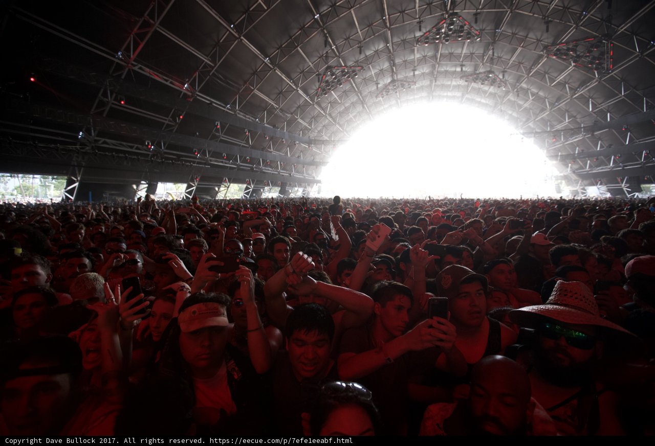 Hands Up at Coachella