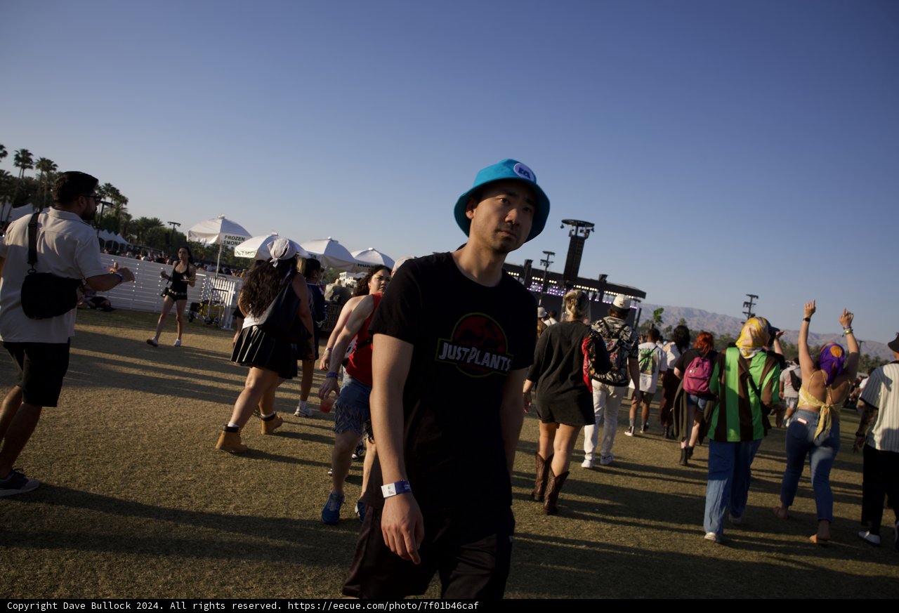 Vibrant Afternoon: Crowd Dynamics at Coachella 2024
