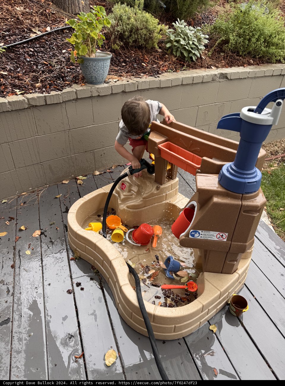 Splashing Adventure