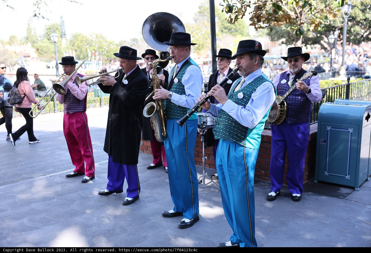 Vibrant Musical Performance