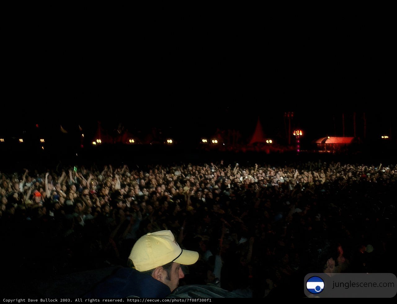 Nighttime Crowd at a Rock Concert