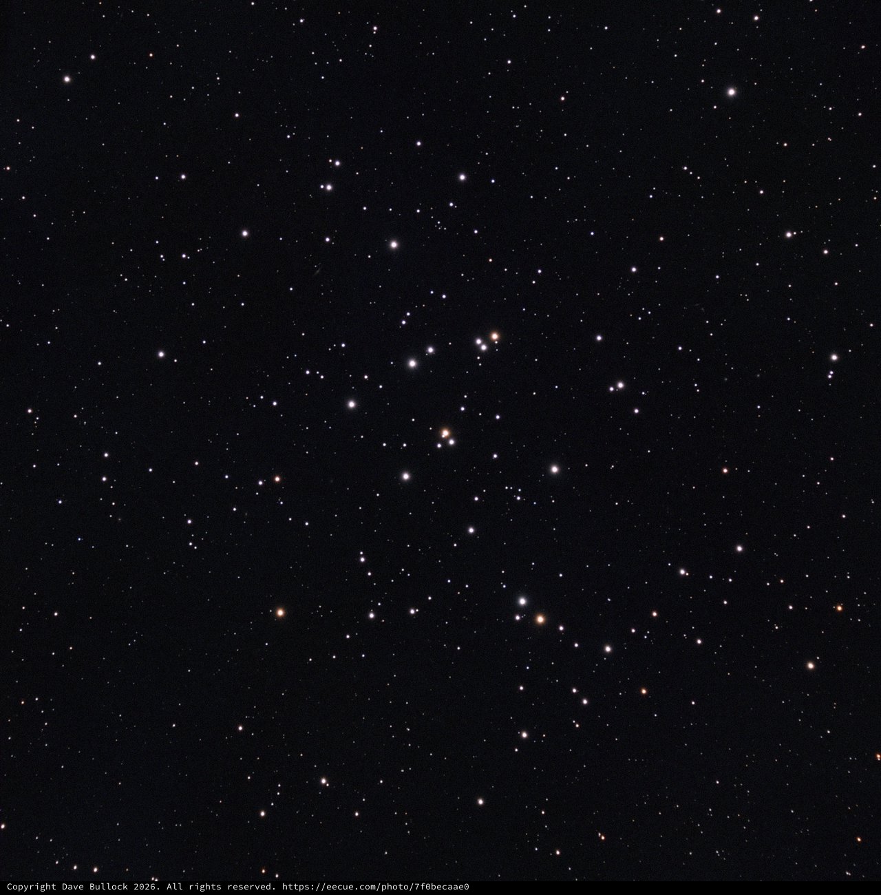 M44 Beehive Cluster in LRGB Narrowband Palette