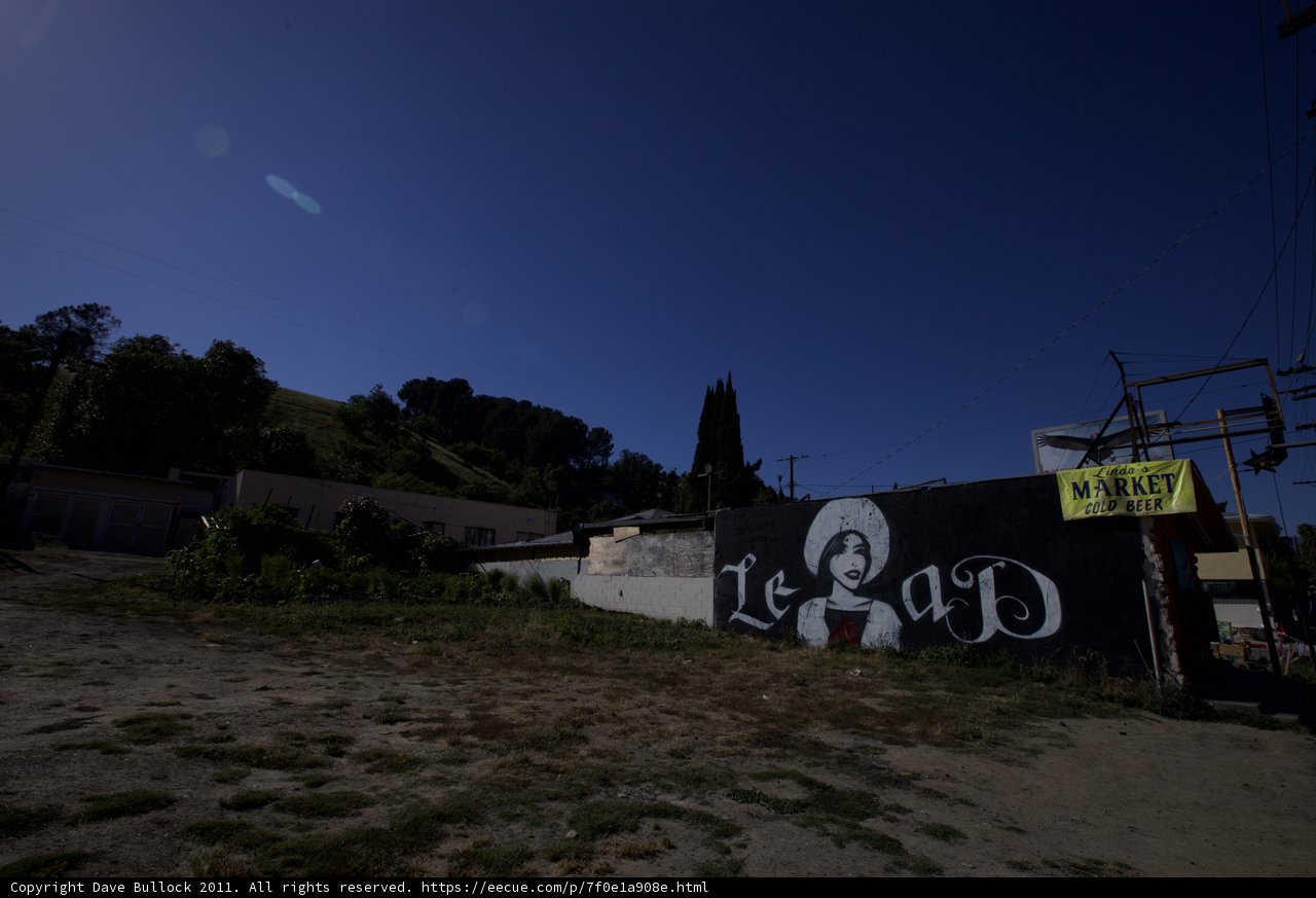 Mural of a Woman in the Countryside