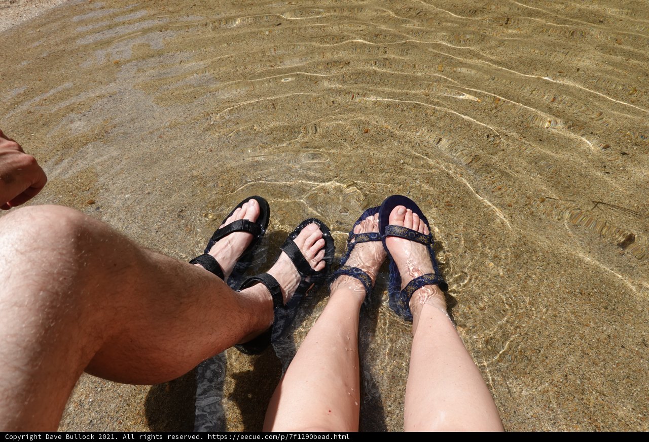 Summer Soles