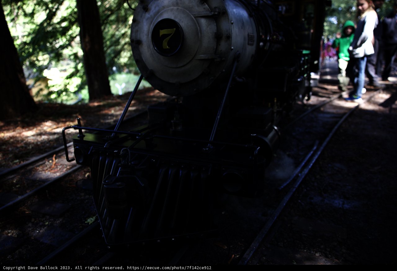 Classic Steam Engine Experience in Tilden Park