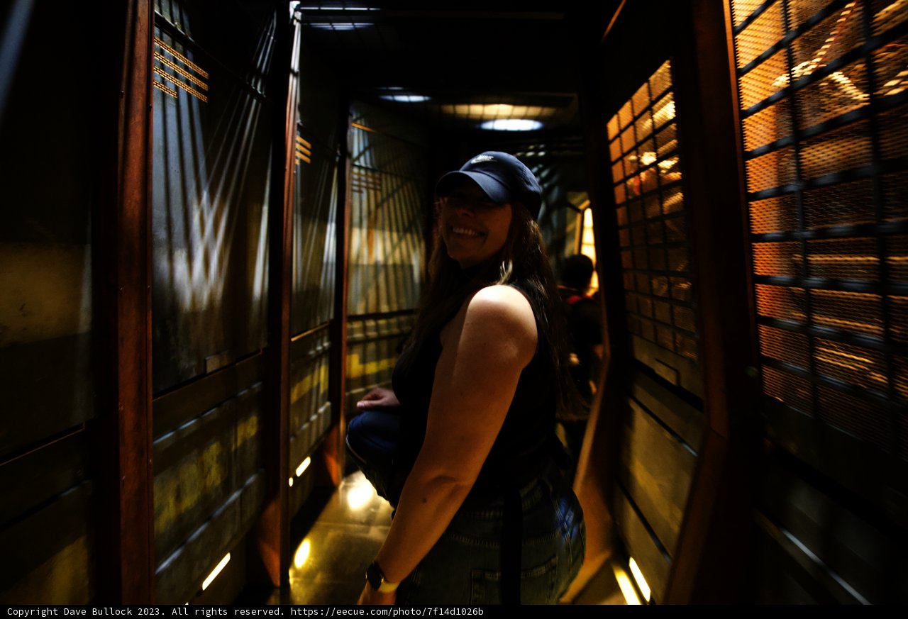 Magical Corridors of Disneyland