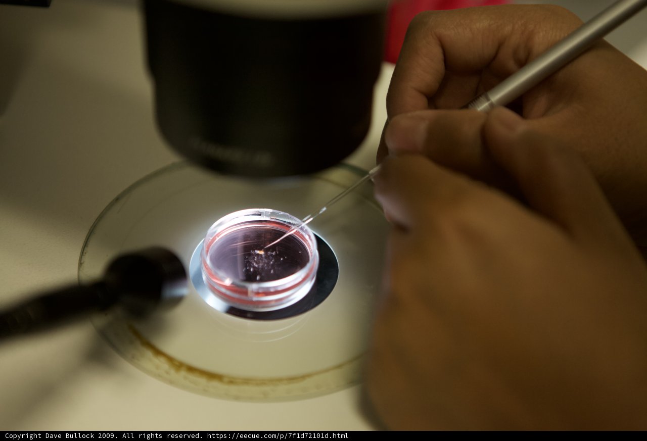 Microscopic Investigation