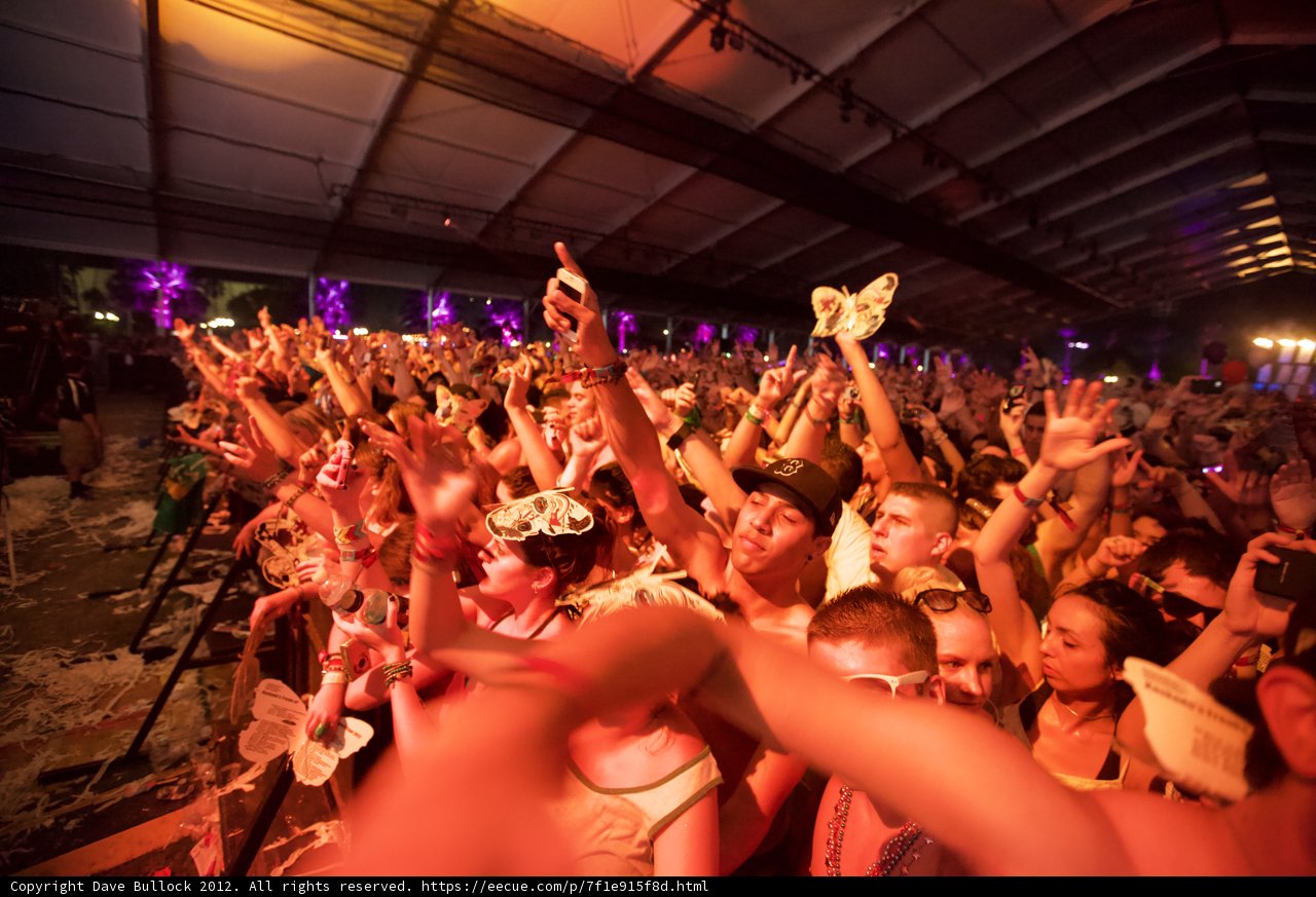 Coachella Partygoers Filled with Energy