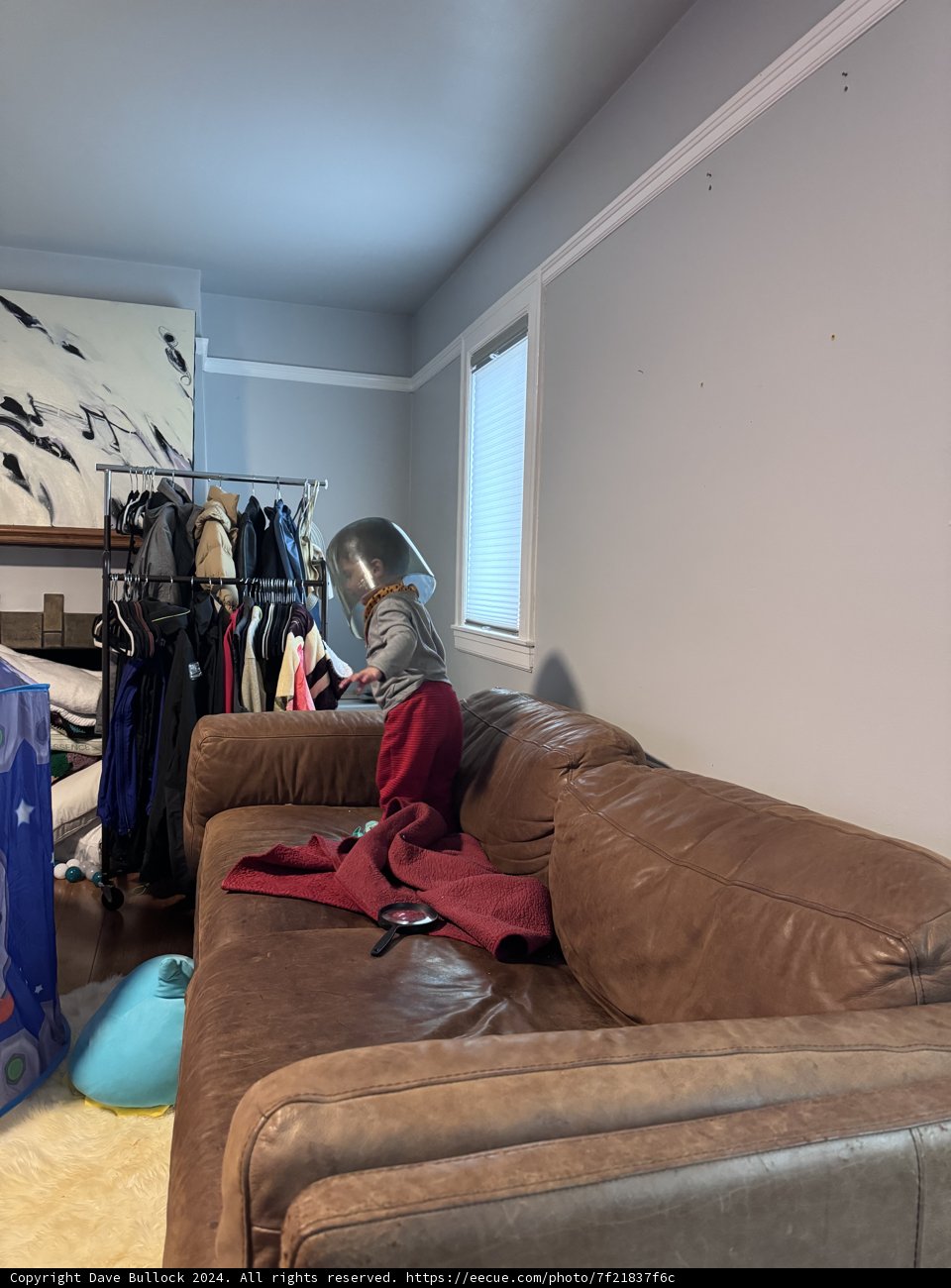 Cozy Corner: A Moment of Indoor Joy
