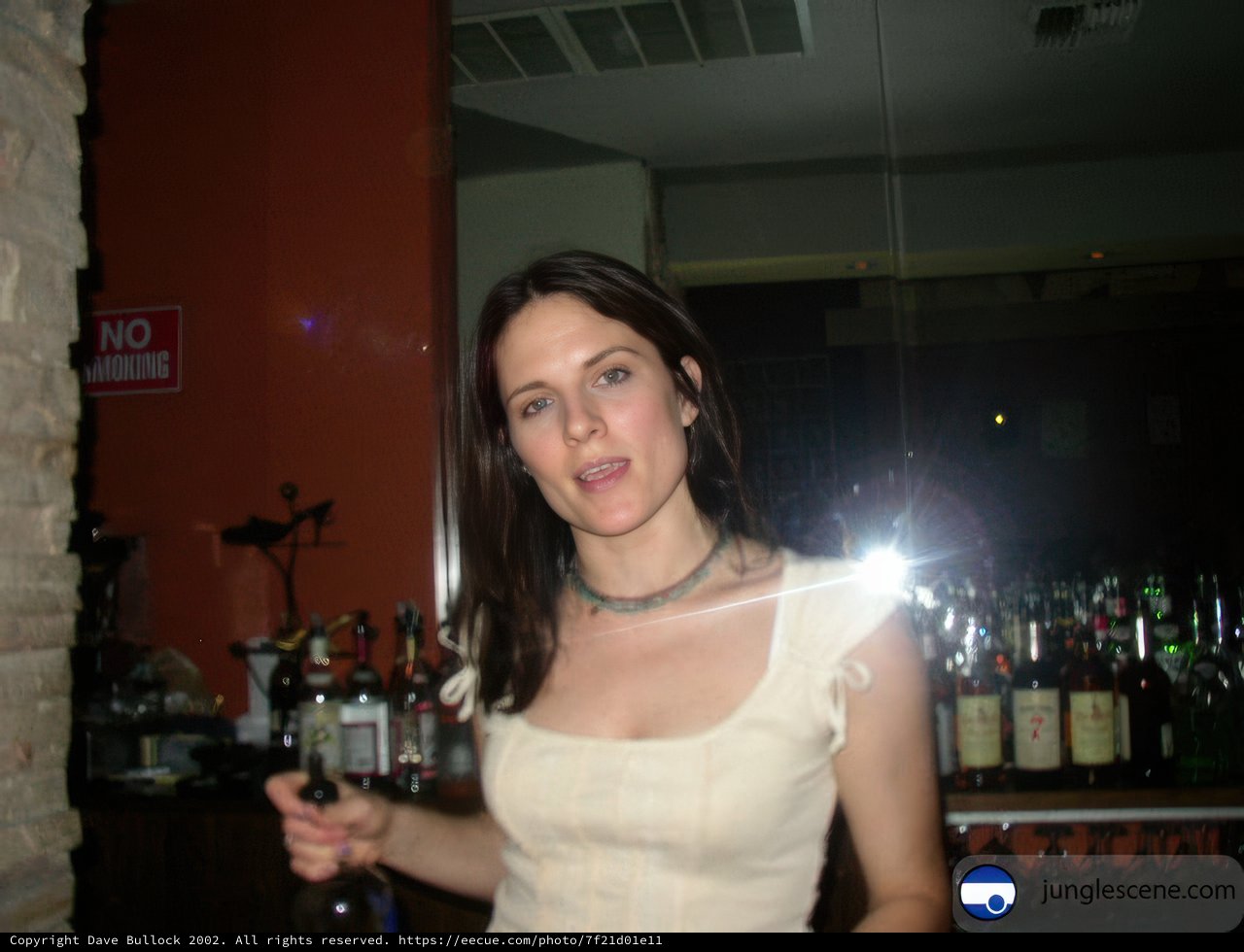 Wedding Bartender