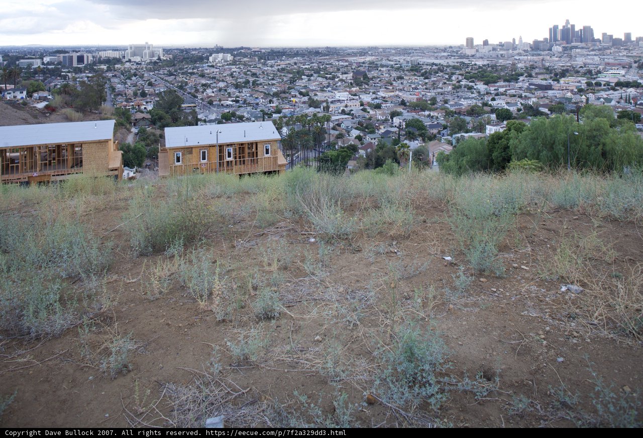 Hillside Houses Overlooking the City