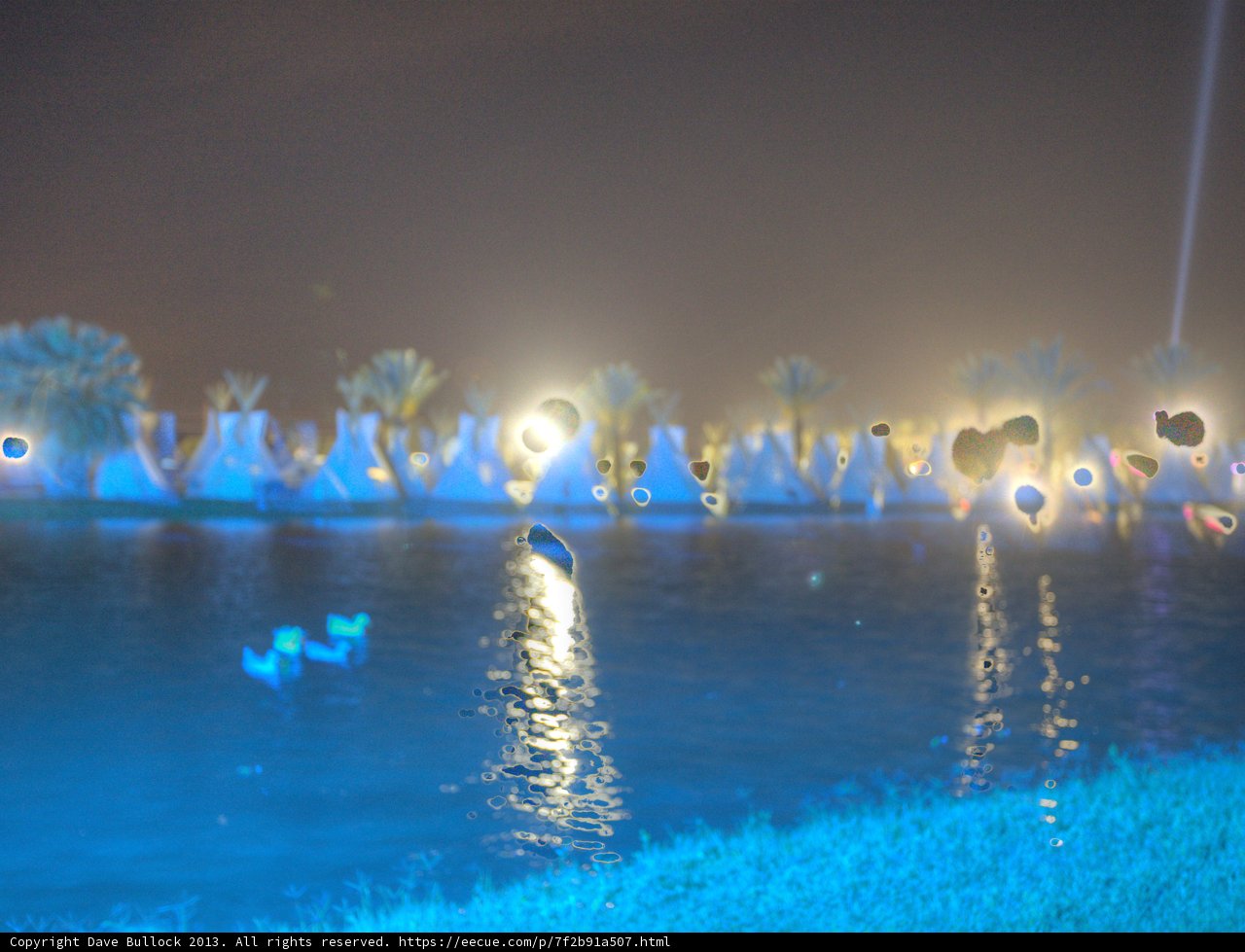 Serene Ducks in a Glowing Water Body