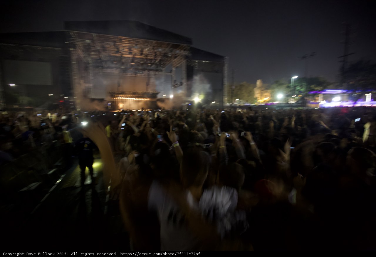 Festival Security and Crowd