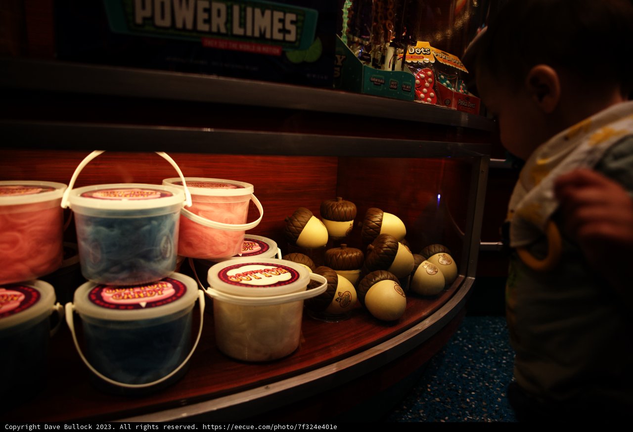 Magical Wonderland of Treats
